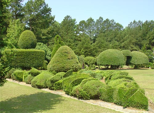 Pearl Fryar's Topiary Garden