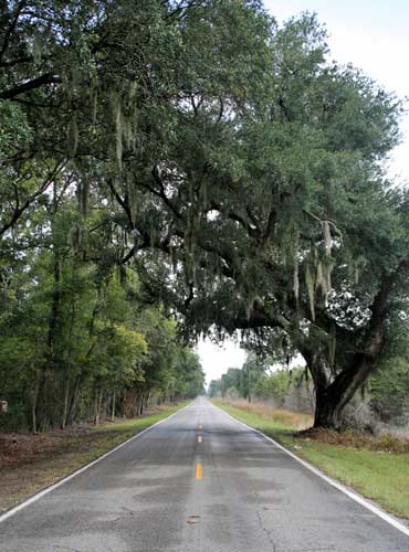 Road to Fort Fremont